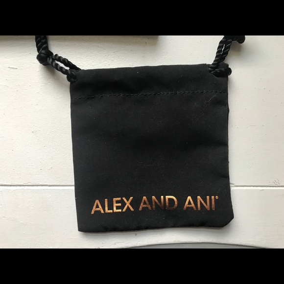 Alex and Ani bracelet dust bag - Picture 1 of 2